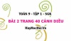 Bài 2 trang 40 Toán 9 tập 1 Cánh Diều